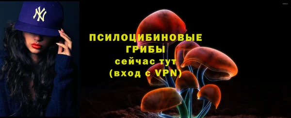 mix Алексин