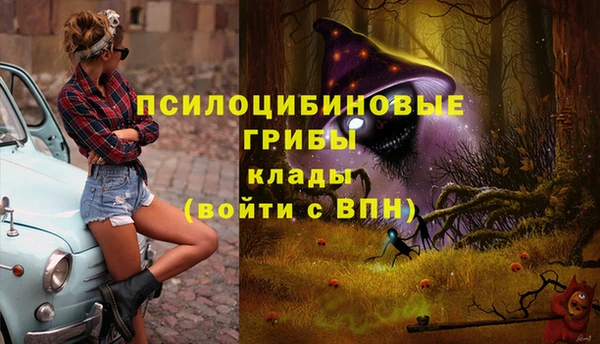 mix Алексин