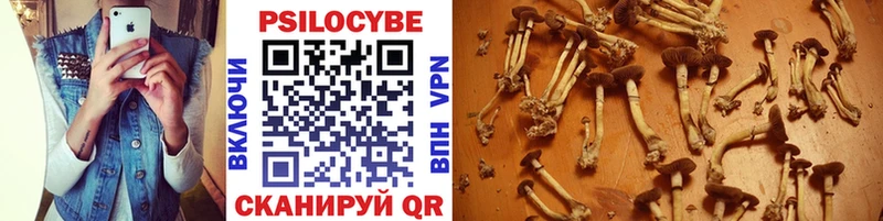 цены   площадка формула  hydra ССЫЛКА  Псилоцибиновые грибы Psilocybine cubensis  Пролетарск 